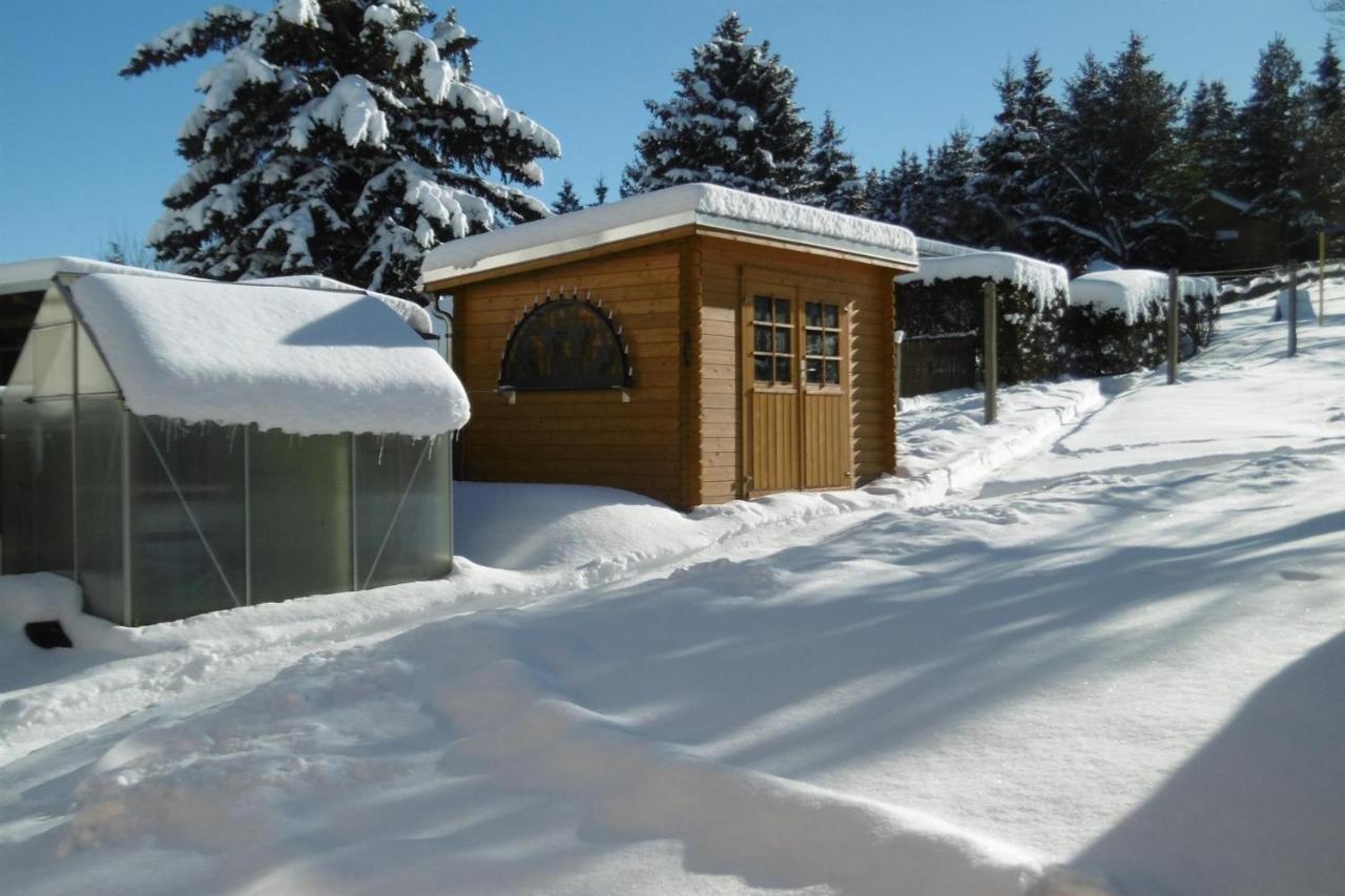Ferienwohnung Rauscher Altenberg  Exteriör bild