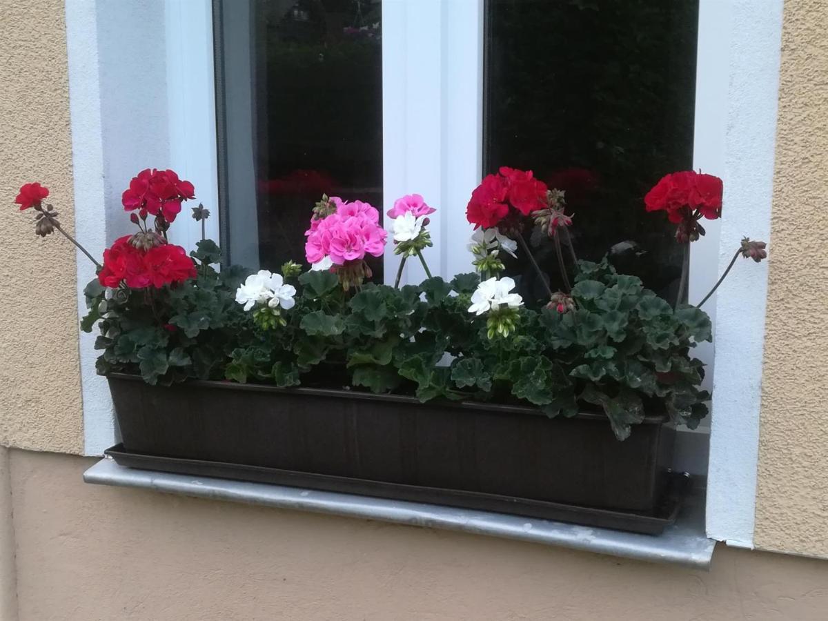 Ferienwohnung Rauscher Altenberg  Exteriör bild