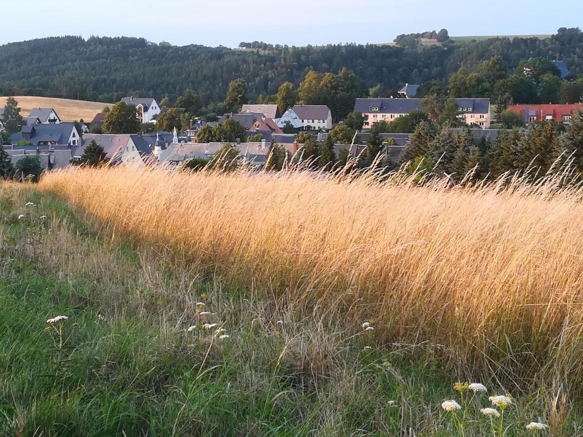 Ferienwohnung Rauscher Altenberg  Exteriör bild